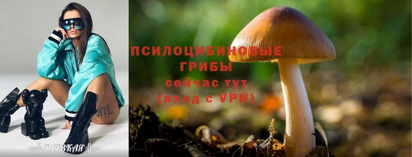 дживик Майский