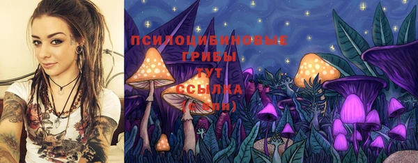 дурь Лиски