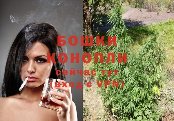 дурь Лиски