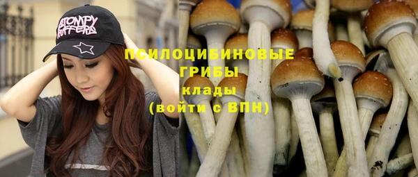 дурь Лиски