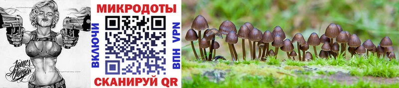 Купить закладки Лодейное Поле Псилоцибиновые грибы мухоморы